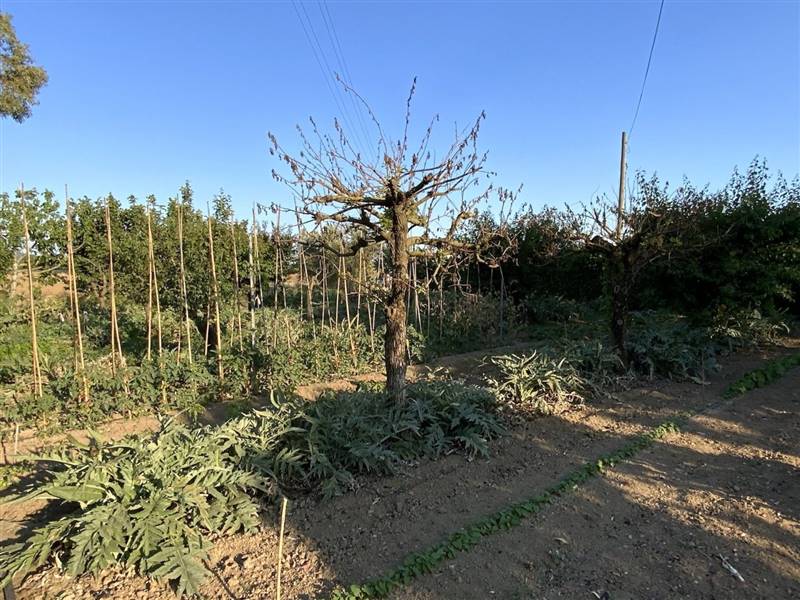 Casale di 400 mq nella campagna di Castiglione della Pescaia