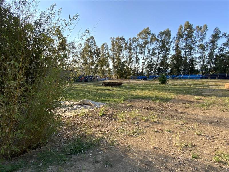Casale di 400 mq nella campagna di Castiglione della Pescaia