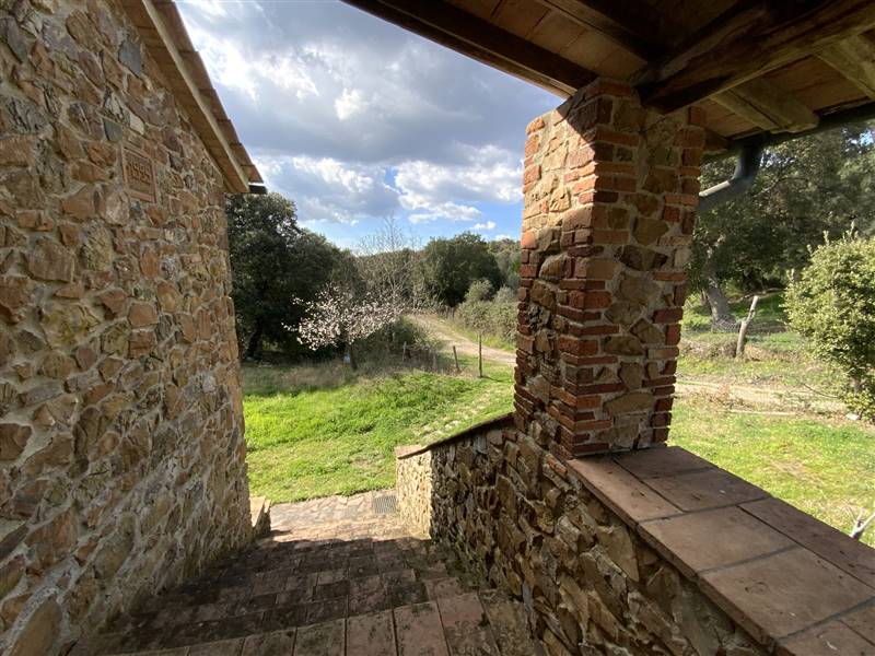 Casale in pietra diviso in due appartamenti indipendenti immerso nel campagna nelle vicinanze della splendida Massa Marittima 