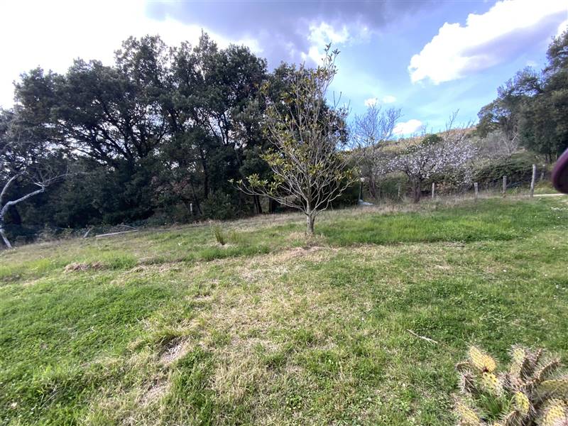 Casale in pietra diviso in due appartamenti indipendenti immerso nel campagna nelle vicinanze della splendida Massa Marittima 
