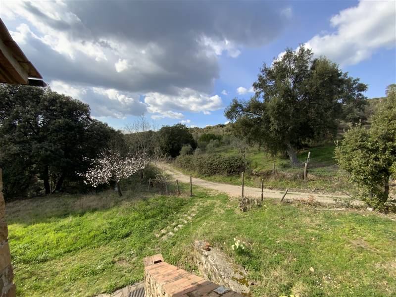 Casale in pietra diviso in due appartamenti indipendenti immerso nel campagna nelle vicinanze della splendida Massa Marittima 