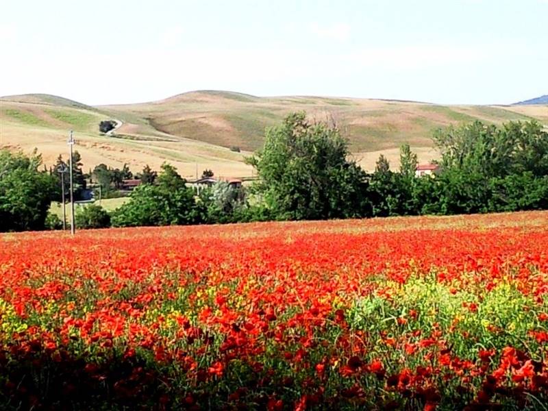 Esclusivo Agriturismo di Charme nelle Colline e con vista su Volterra