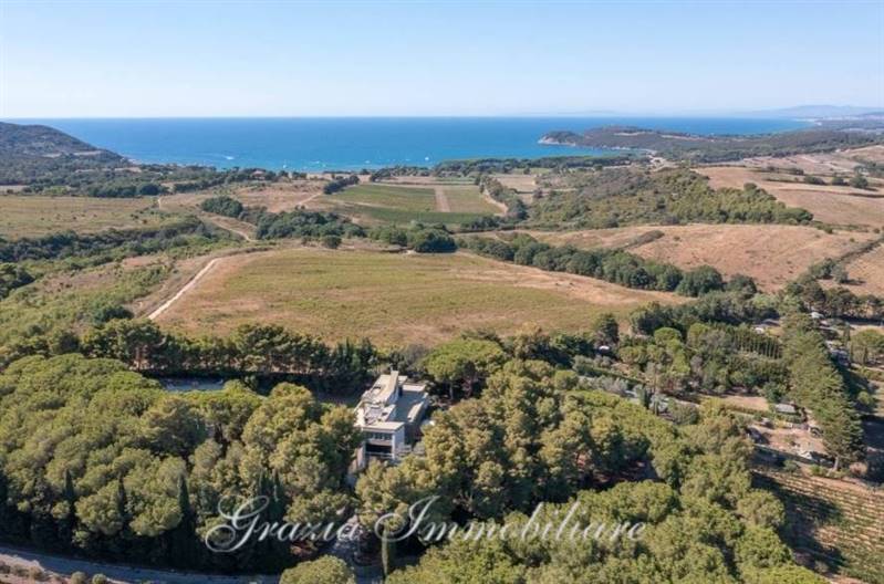 Villa in Baratti con parco privato e vigneti 