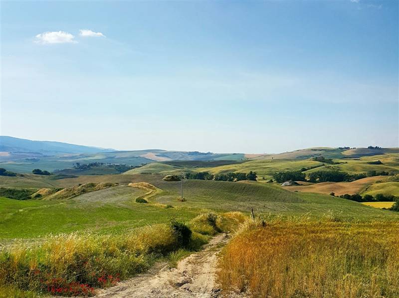 Casolare in zona Sassa