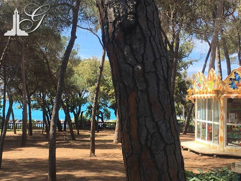 NOSTRA ESCLUSIVA Appartamento a Marina di Cecina ; 