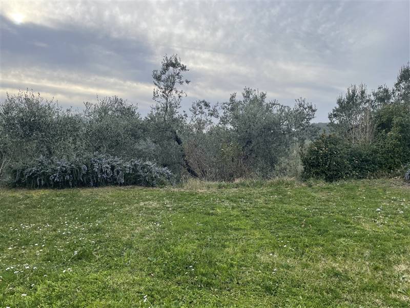 Prestigiosa Residenza  in pietra nel Cuore della Costa degli Etruschi