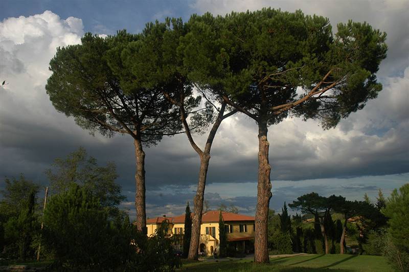 Antico Casale dall'eleganza Leopoldina circondato da splendido parco e piscina a Fauglia (PI)