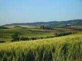 Azienda agricola con vista panoramica e laghi nelle colline pisane