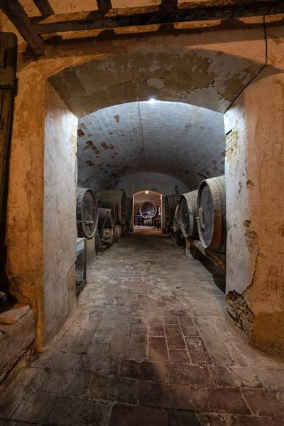 Tenuta storica del 1800 nel Cuore del Borgo Medioevale di Casale Marittimo