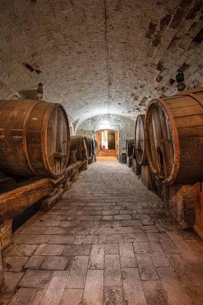 Tenuta storica del 1800 nel Cuore del Borgo Medioevale di Casale Marittimo