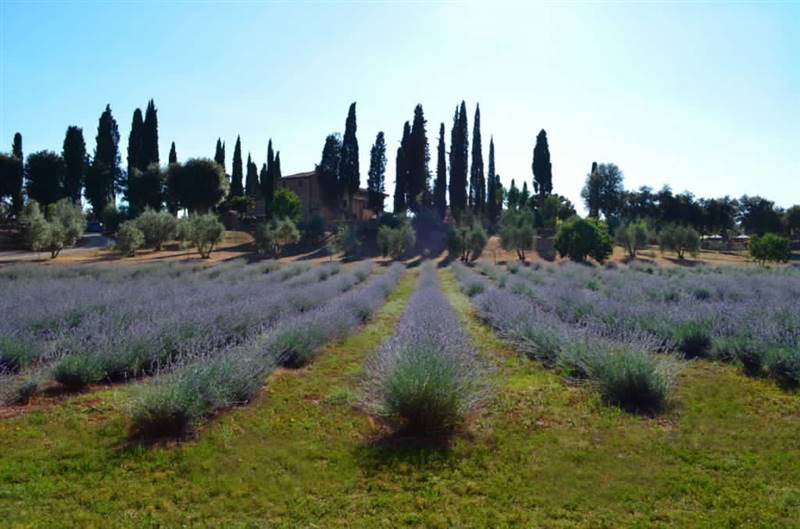  Agriturismo con casolare in pietra all'interno di riserva naturale