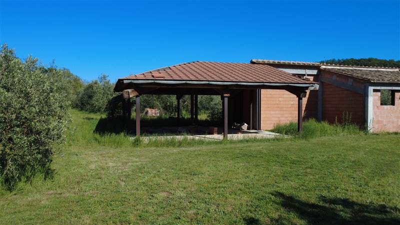 Stone farmhouse with olive grove for sale in Tuscany