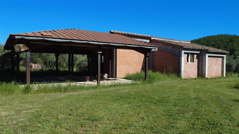 Stone farmhouse with olive grove for sale in Tuscany