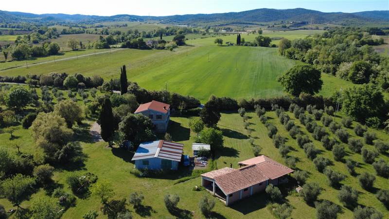 Stone farmhouse with olive grove for sale in Tuscany
