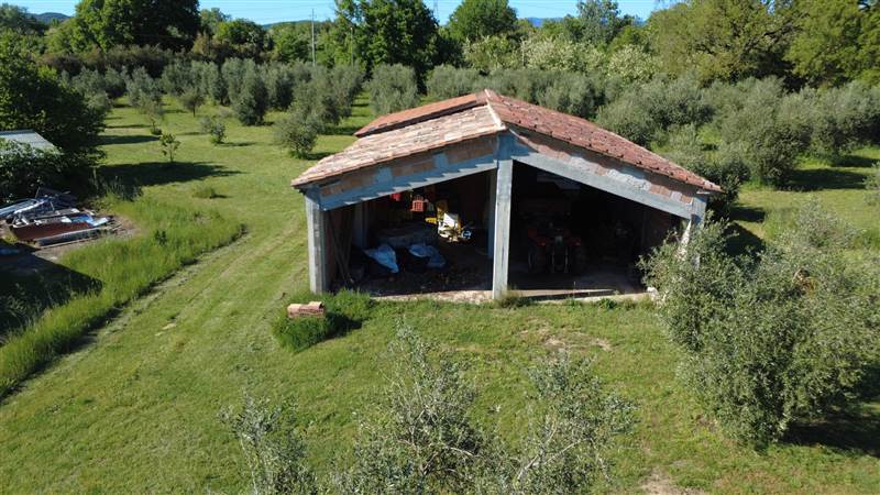 Stone farmhouse with olive grove for sale in Tuscany