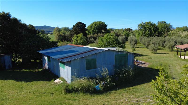 Stone farmhouse with olive grove for sale in Tuscany