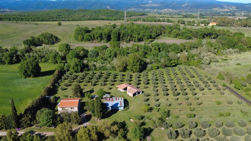 Stone farmhouse with olive grove for sale in Tuscany