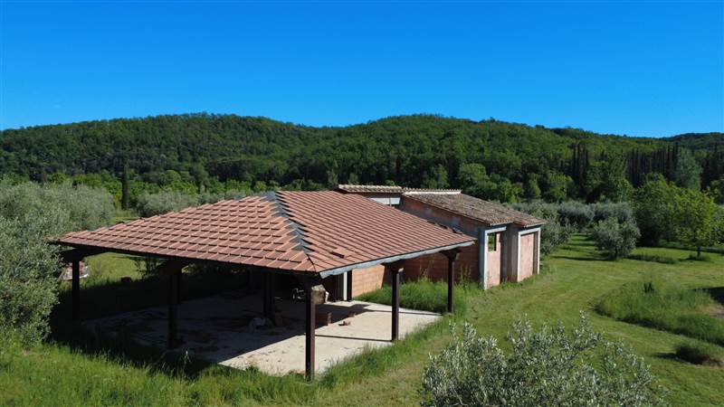 Stone farmhouse with olive grove for sale in Tuscany