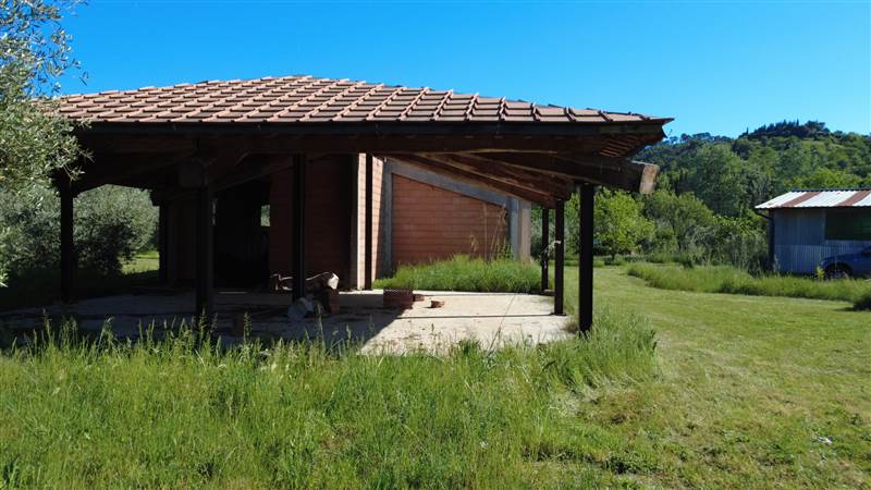 Stone farmhouse with olive grove for sale in Tuscany