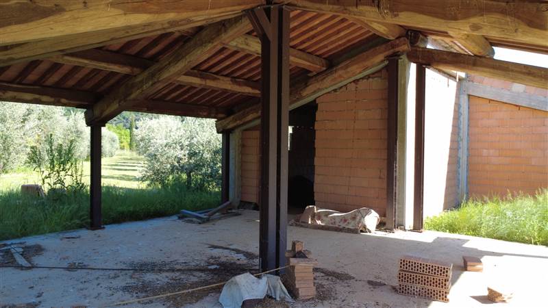 Stone farmhouse with olive grove for sale in Tuscany