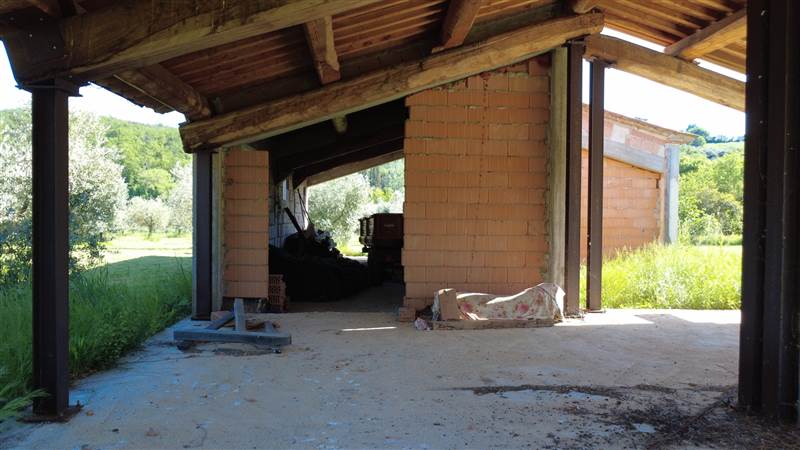 Stone farmhouse with olive grove for sale in Tuscany