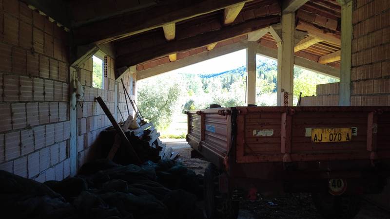 Stone farmhouse with olive grove for sale in Tuscany