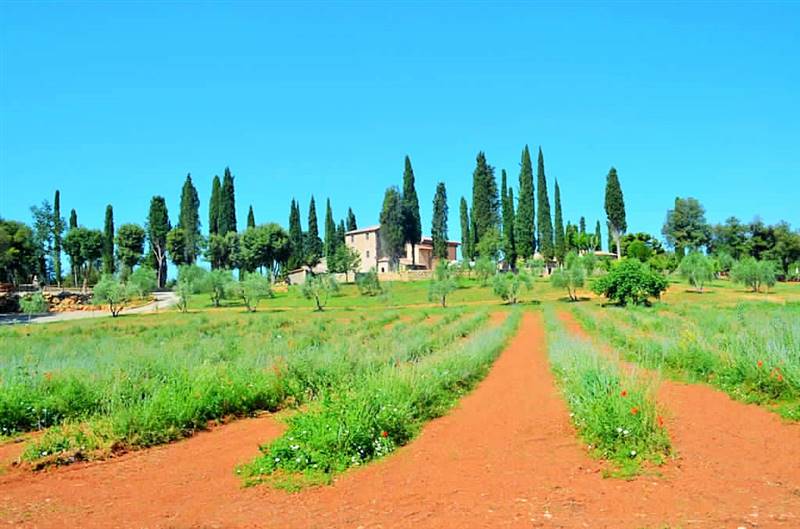  Agriturismo con casolare in pietra all'interno di riserva naturale