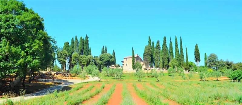  Agriturismo con casolare in pietra all'interno di riserva naturale