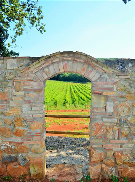  Agriturismo con casolare in pietra all'interno di riserva naturale