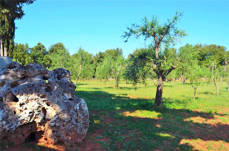  Agriturismo con casolare in pietra all'interno di riserva naturale