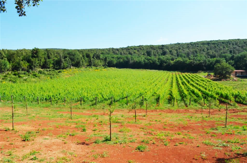  Agriturismo con casolare in pietra all'interno di riserva naturale
