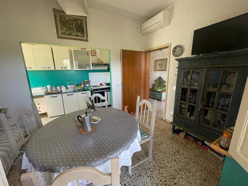 Villa indipendente con giardino privato e uliveta in Bolgheri DOC