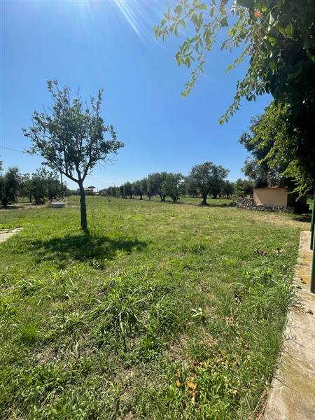 Villa indipendente con giardino privato e uliveta in Bolgheri DOC