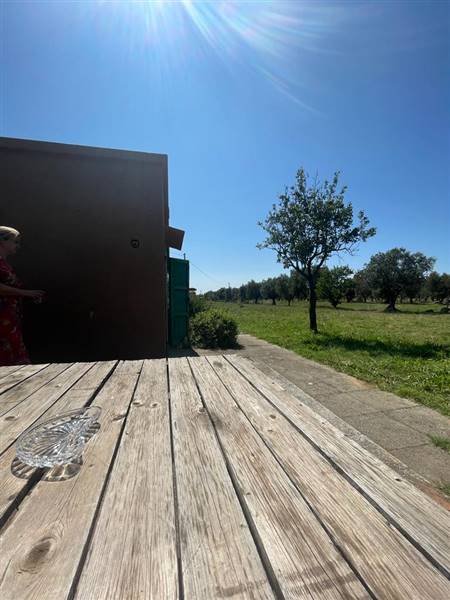Villa indipendente con giardino privato e uliveta in Bolgheri DOC