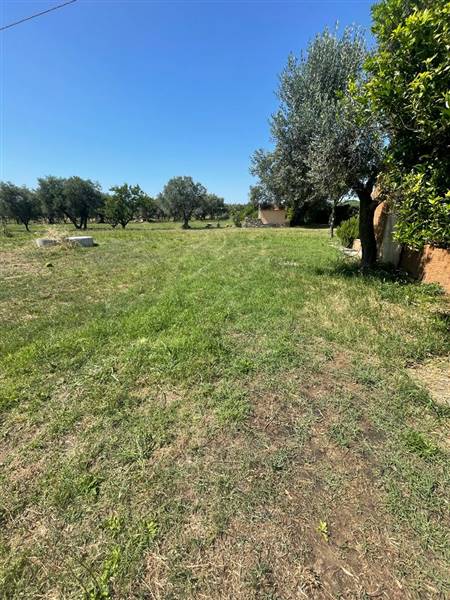 Villa indipendente con giardino privato e uliveta in Bolgheri DOC