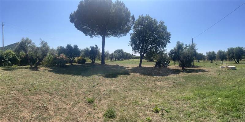 Villa indipendente con giardino privato e uliveta in Bolgheri DOC