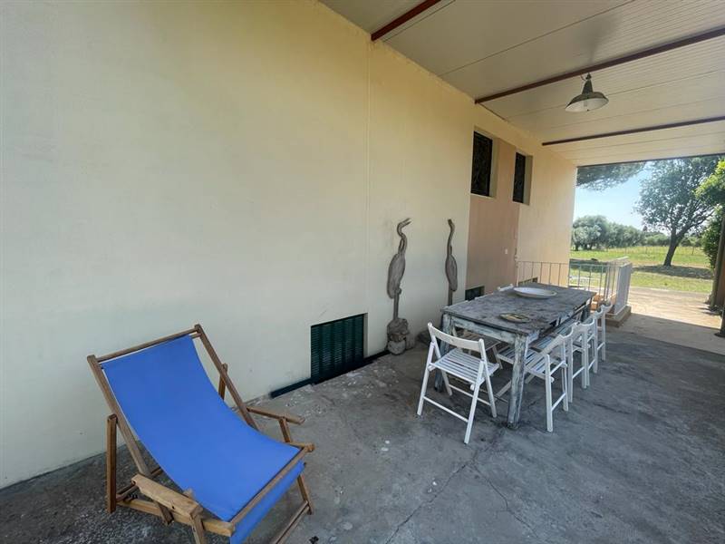 Villa indipendente con giardino privato e uliveta in Bolgheri DOC