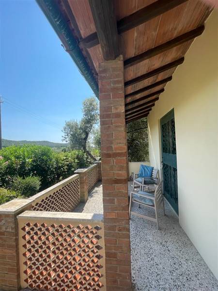Villa indipendente con giardino privato e uliveta in Bolgheri DOC
