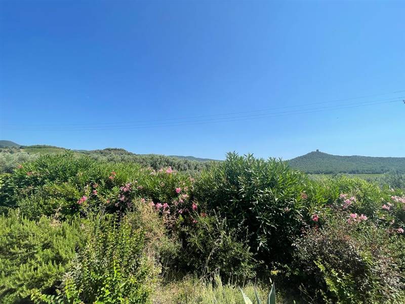 Villa indipendente con giardino privato e uliveta in Bolgheri DOC