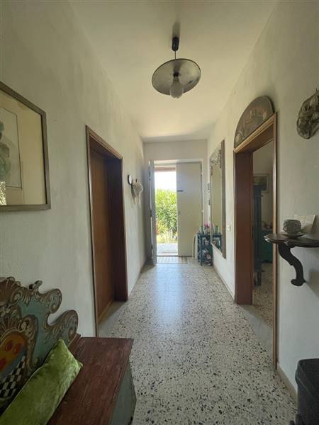 Villa indipendente con giardino privato e uliveta in Bolgheri DOC