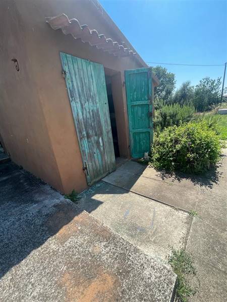 Villa indipendente con giardino privato e uliveta in Bolgheri DOC