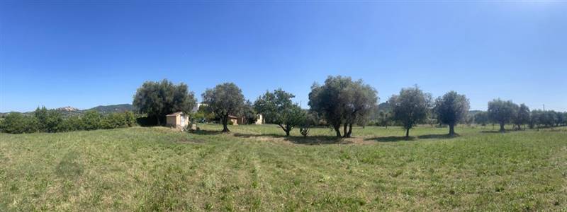 Villa indipendente con giardino privato e uliveta in Bolgheri DOC
