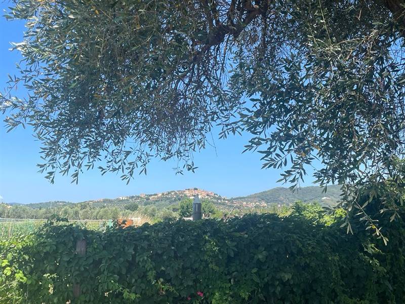 Villa indipendente con giardino privato e uliveta in Bolgheri DOC