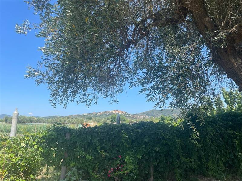 Villa indipendente con giardino privato e uliveta in Bolgheri DOC
