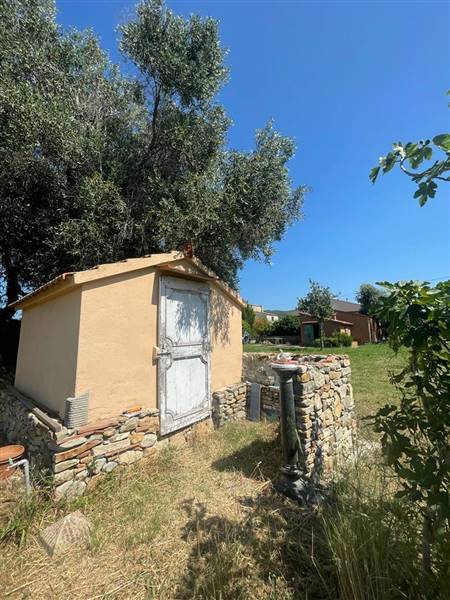 Villa indipendente con giardino privato e uliveta in Bolgheri DOC