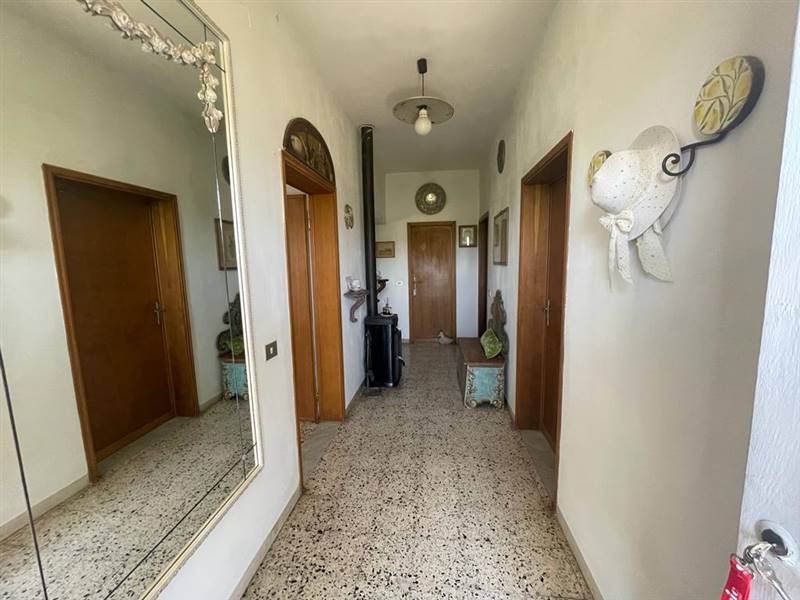 Villa indipendente con giardino privato e uliveta in Bolgheri DOC