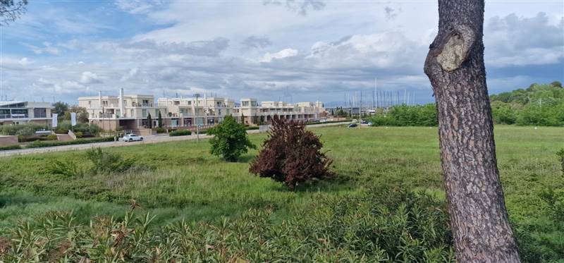Villa immersa nella pineta con splendida vista mare