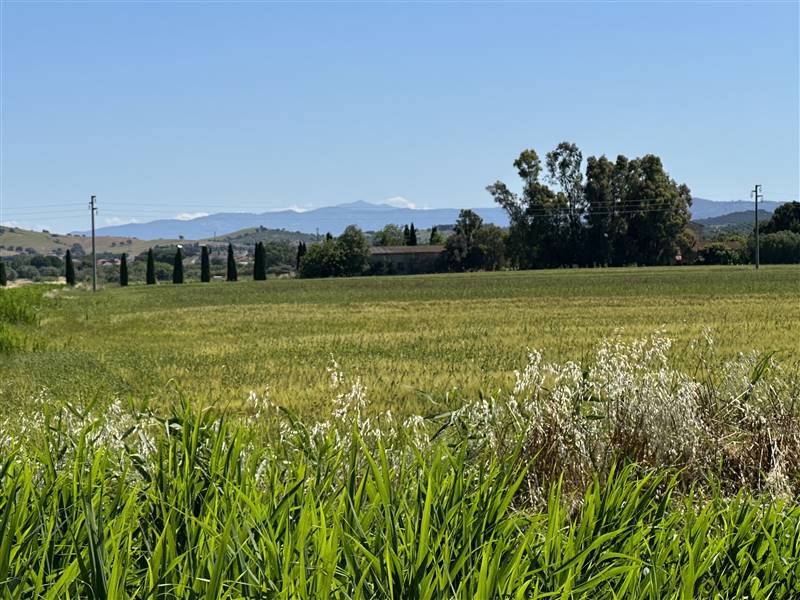 Agriturismo a pochi km dall'ingresso del Parco dell'Uccellina 