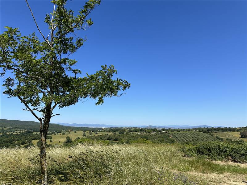Antico Casale in Posizione Panoramica nel Cuore della Toscana Vinicola