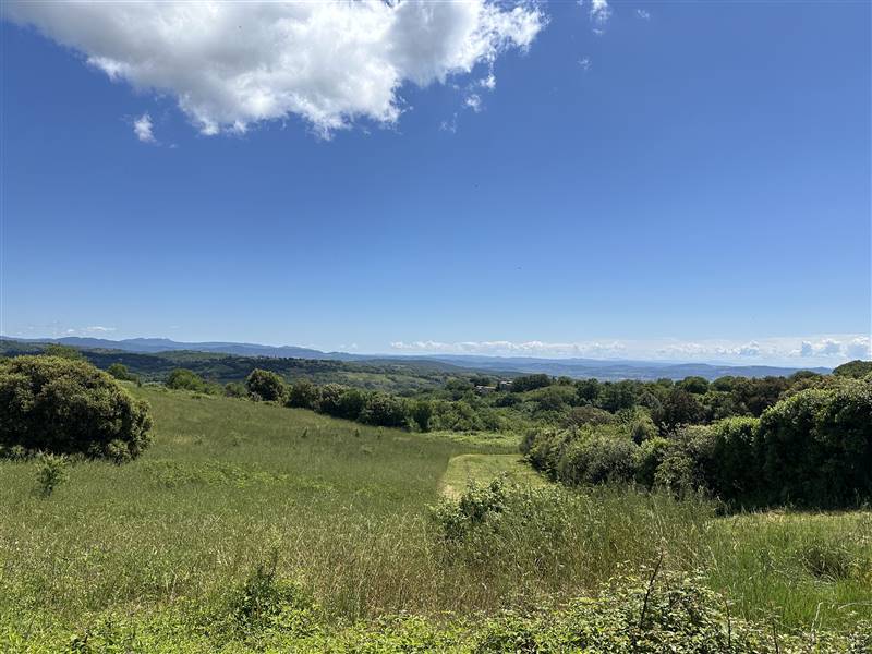 Antico Casale in Posizione Panoramica nel Cuore della Toscana Vinicola